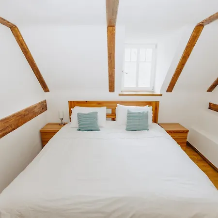 Villa Forest View Bily Kostel nad Nisou
